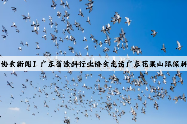 kaiyun：【协会新闻】广东省涂料行业协会走访广东花果山环保科技有限公司